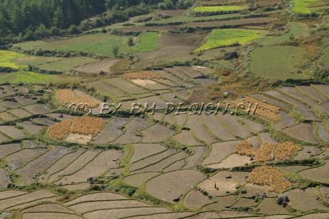 Bhutan05