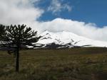 Chile
