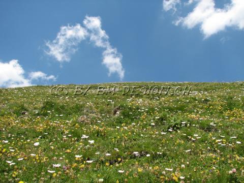 Engadin28