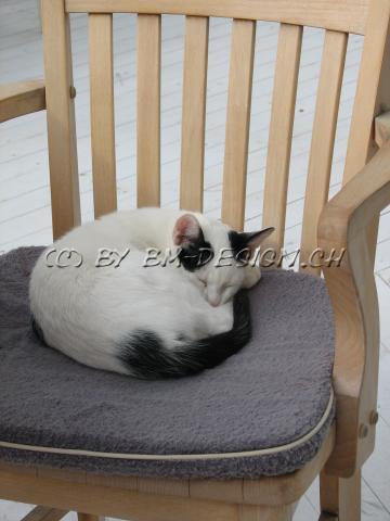 Tiere11